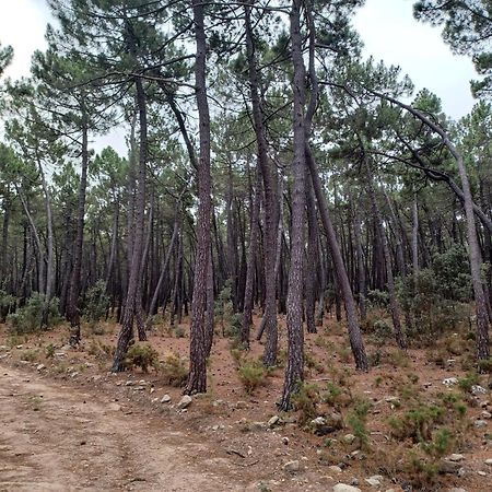 La Vieja Escuela Villa Fuentes de Rubielos Dış mekan fotoğraf