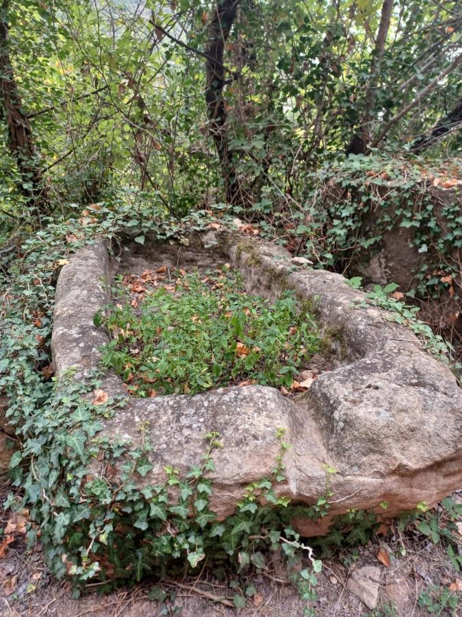 La Vieja Escuela Villa Fuentes de Rubielos Dış mekan fotoğraf